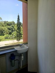 Bukit Timah Shopping Centre (D21), Shop House #502813901